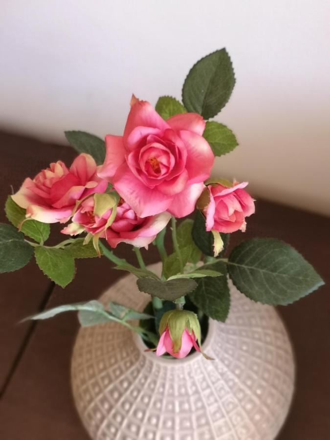 Apartament Anca Daire Köstence Dış mekan fotoğraf